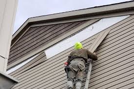 Best Fascia and Soffit Installation  in Waelder, TX